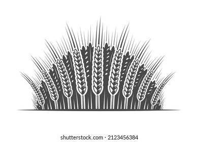 Trigo aislado en el fondo blanco. Ilustración del vector