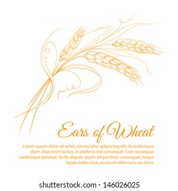 Wheat isolated on white. Vector illustration.