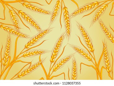 wheat isolated on yellow background. Template, print, design element. Vector illustrations