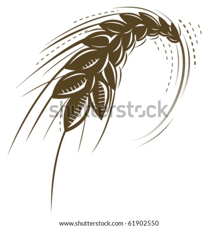 wheat isolated vector icon