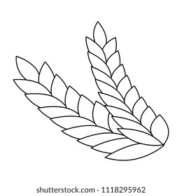 wheat leafs isolated icon