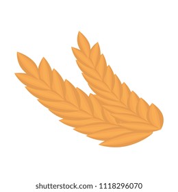 wheat leafs isolated icon