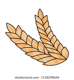 wheat leafs isolated icon
