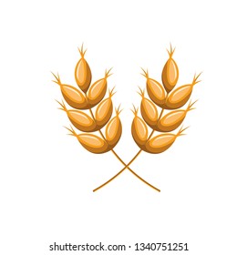 wheat leaves isolated icon