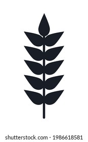 wheat leaves on white background