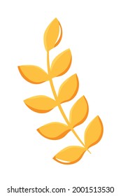 wheat leaves on white background
