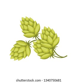 wheat leaves and pinecone isolated icon
