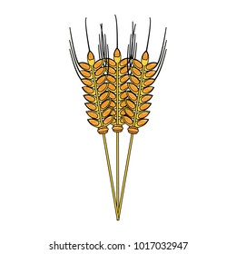 Wheat leaves symbol