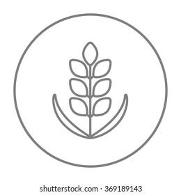 Wheat line icon.