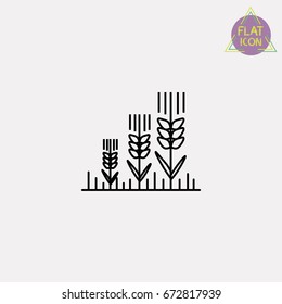 wheat line icon
