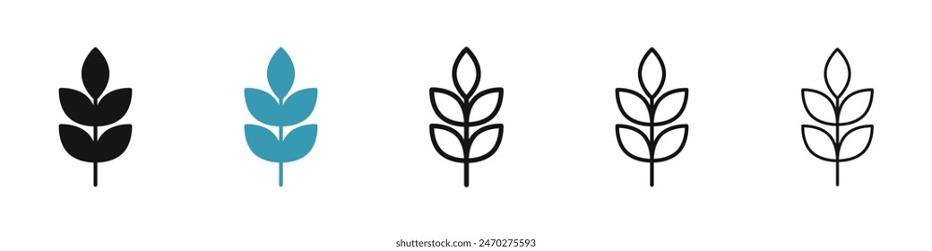 Conjunto de iconos de línea de trigo. icono de Vector de avena de harina. signo de grano dietético. signo de planta de malta. icono de planta entera de cereal para diseños de UI.