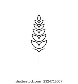 Wheat line icon vector design