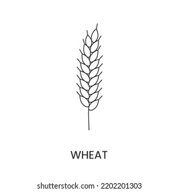 Wheat line icon in vector, illustration of a cereal plant.