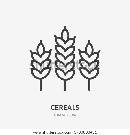 Wheat line icon, vector pictogram of cereals. Organic grain illustration, sign for bakery.