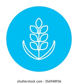 Wheat line icon for web, mobile and infographics. Vector white icon on the light blue circle isolated on white background.