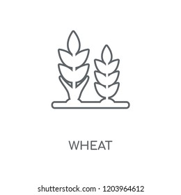 Wheat linear icon. Wheat concept stroke symbol design. Thin graphic elements vector illustration, outline pattern on a white background, eps 10.