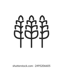 Wheat, linear style icon. Ripe wheat ears. Harvest. Grain. Editable stroke width