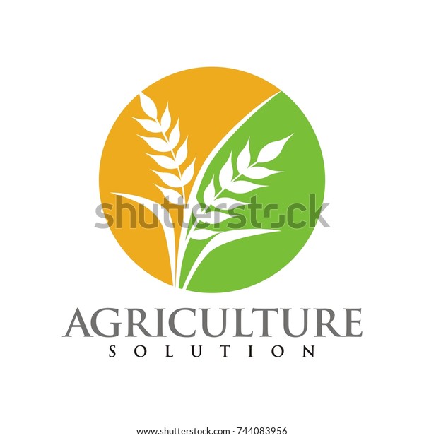 Wheat Logo Agriculture Industry Design Template Stock Vector