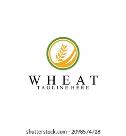 Wheat Logo Design Concept Vector Isolated in White Background