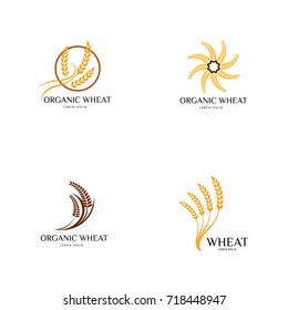 wheat logo design illustrations