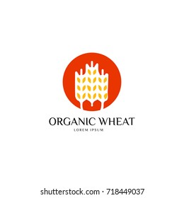 wheat logo design illustrations
