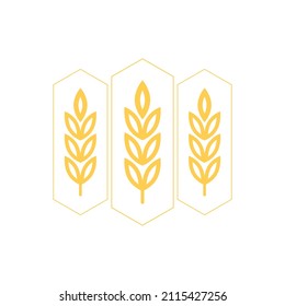Diseño del logo del trigo. Símbolo de avena vector.