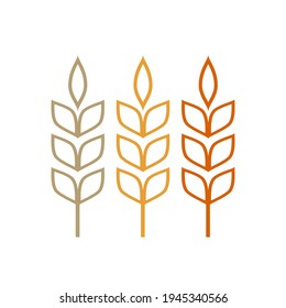 Wheat logo design. Rice symbol. Oat symbol vector. 