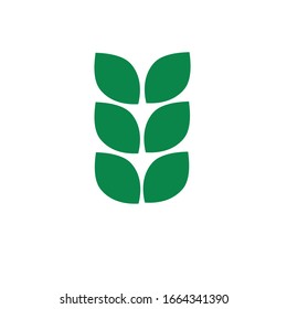 Wheat logo design vector template