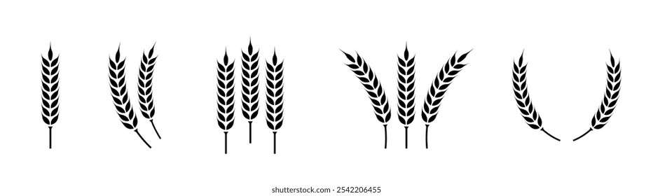 Logotipo do trigo. Conjunto de ícones de orelhas de trigo. Os picos de grãos definem o ícone icons.Grain. Símbolo de agricultura. ilustração de vetor