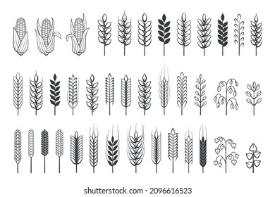 Wheat logo. Grain spikes and barley cereal simple icons, agriculture harvest heraldic emblem. Vector set