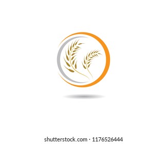 Wheat logo icon