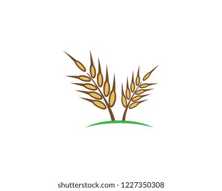 Wheat logo icon