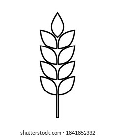 Wheat logo. Icon bakery. Spike wheat. Bread grain. Stalk oat, barley, corn, rye, malt, bran, millet, maize, rice, beer. Harvest seed for flour. Healthy eating. Stalks ear of wheat. Sign crop. Vector