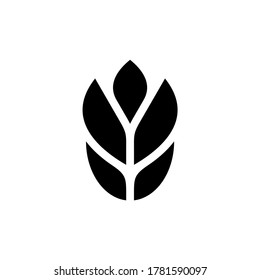 Wheat logo. Icon design. Template elements
