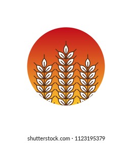 Wheat logo icon emblem design. Food cereal grain badge vector illustration