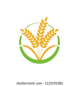 Wheat logo icon emblem design. Food cereal grain badge vector illustration