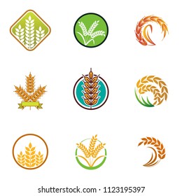 Wheat logo icon emblem design. Food cereal grain badge vector illustration