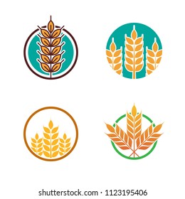 Wheat logo icon emblem design. Food cereal grain badge vector illustration