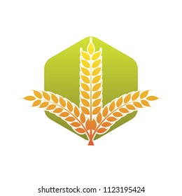 Wheat logo icon emblem design. Food cereal grain badge vector illustration