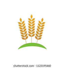 Wheat logo icon emblem design. Food cereal grain badge vector illustration
