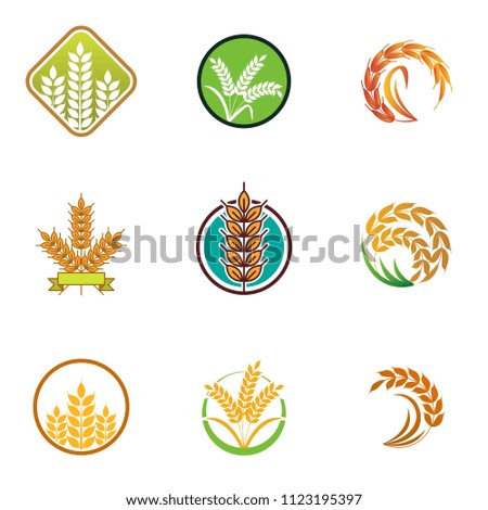 Wheat logo icon emblem design. Food cereal grain badge vector illustration