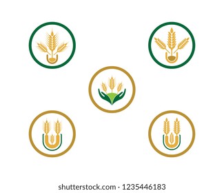 Wheat logo illustration