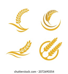 Wheat logo images illustration design