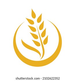 Wheat logo images illustration design