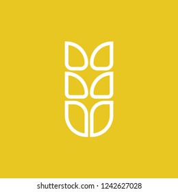 wheat logo line design vector