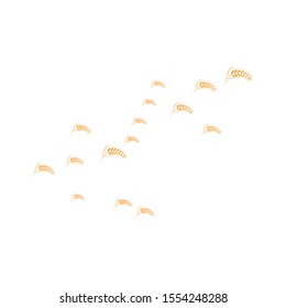 wheat logo stok image illustrator