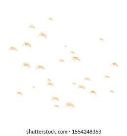 wheat logo stok image illustrator