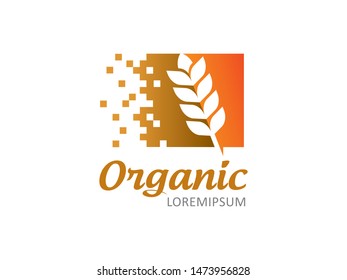 Wheat logo symbol or icon template