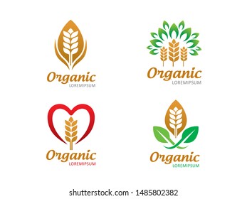 Wheat logo symbol or icon template