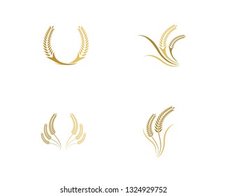 Wheat logo template